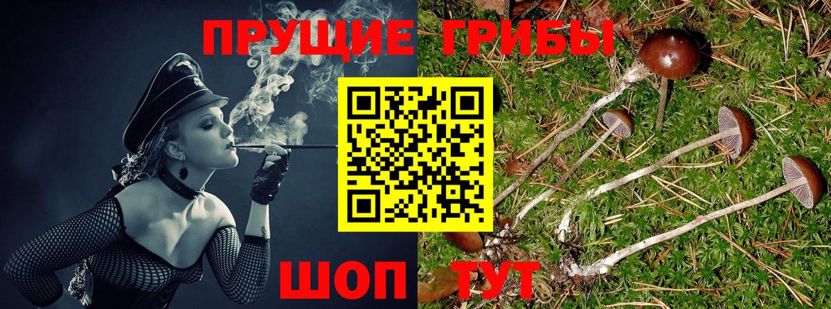 Псилоцибиновые грибы Magic Shrooms Мурино