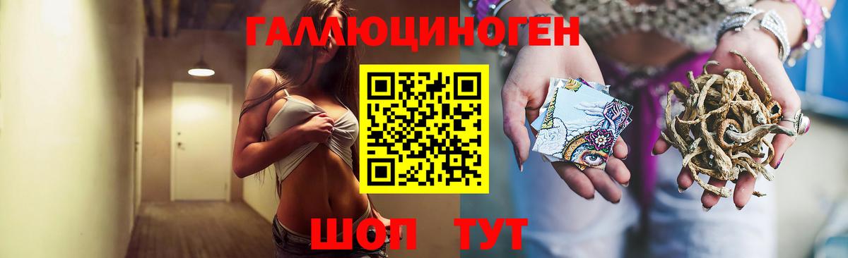 Мурино  Псилоцибиновые грибы прущие грибы  Вход с VPN  Галлюциногенные грибы мицелий 